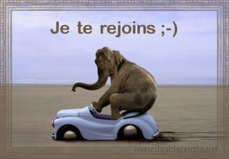 humour